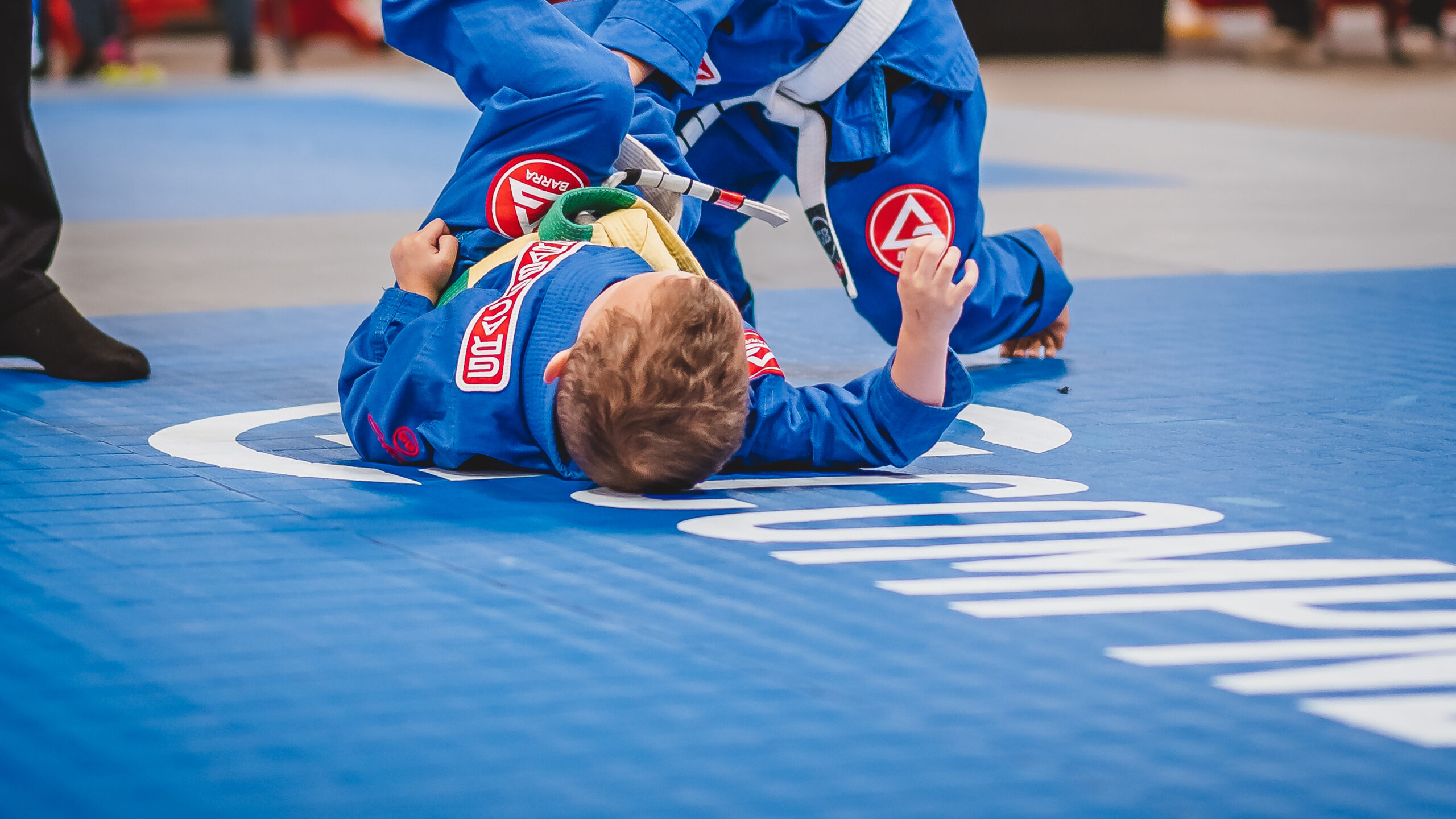 BJJ Mats Compnet