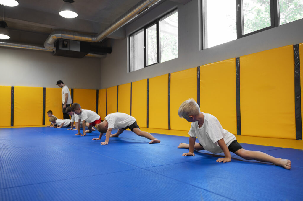 Mats For BJJ